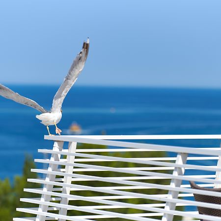 Hotel Albatros Plava Laguna بوريتش المظهر الخارجي الصورة
